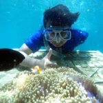 gili-labak-hotel-dan-fasilitas